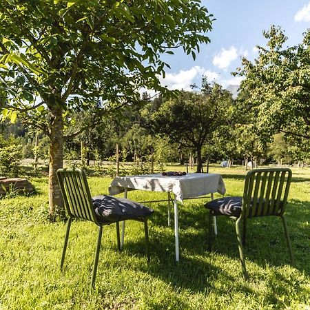 Iselhof Apartman Lienz Kültér fotó